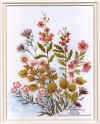 232 Flowers.jpg