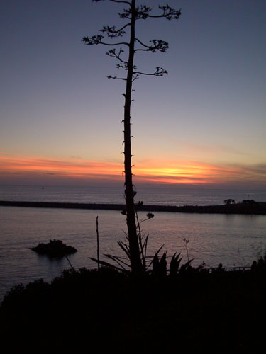 Catalina Island Sunset, in the Cottage Gallery at Cottages and Gardens