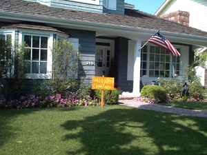 Halloween Is Coming - The Cottage Gallery
